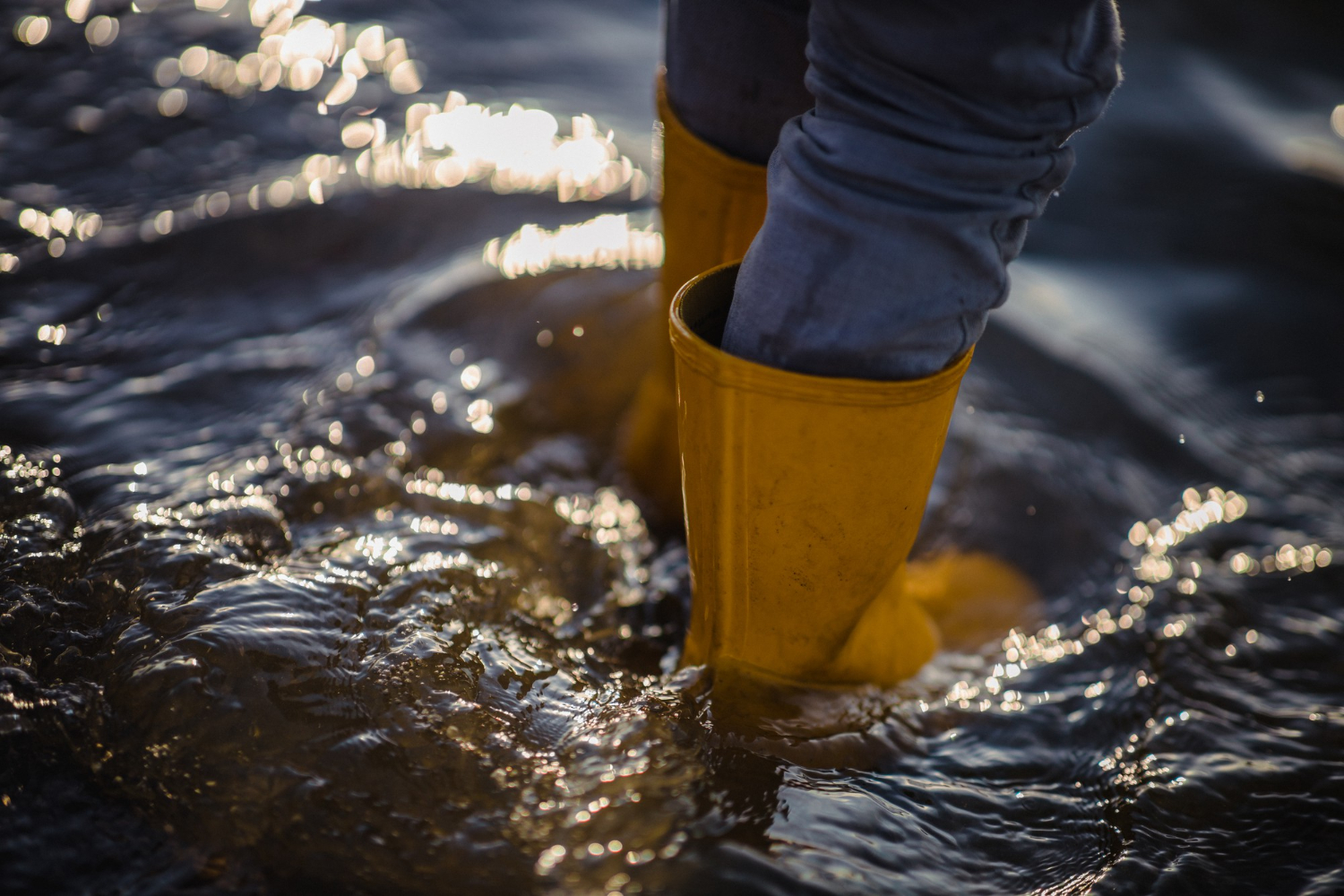 Flood water cleaning service in progress in Austin TX